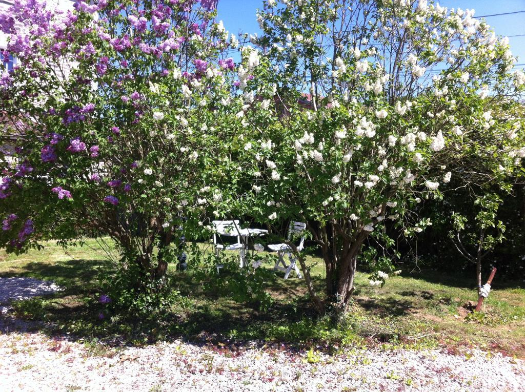 Les Lilas Roses Chamouilley Bagian luar foto
